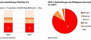 Các Doanh Nghiệp Xuất Khẩu Gạo