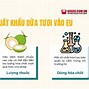 Xuất Khẩu Dừa Sang Nhật Bản Là Bao Nhiêu